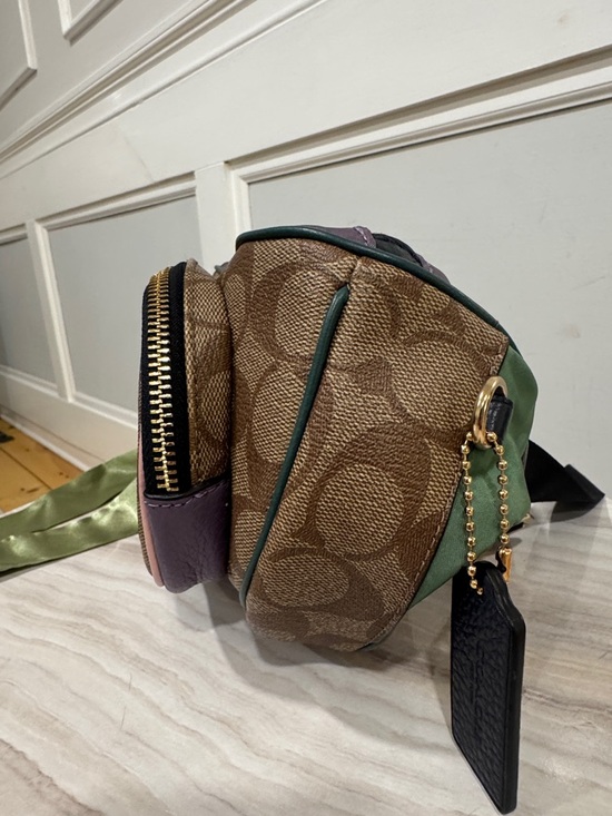 Coach Bag Court Signature Small Belt Bag - Picture 6 of 17